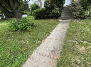 Bush Trimming by Alesandre Duarte for Kristen K. in Ashburn, VA