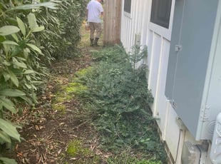 Weeding by Jennifer Hancock for Russel W. in Durham, NC