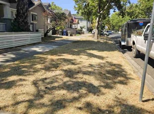 Cleanups by Christopher Agostini for Kenna D. in Sacramento, CA