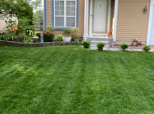 Shana L.'s Lawn Mowing Service service result