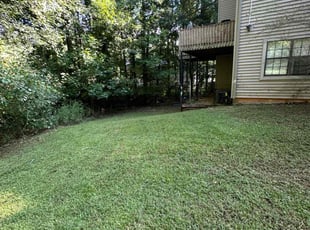 Helen F.'s Lawn Mowing Service service result