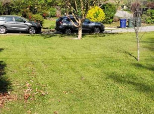 Mark H.'s Lawn Care service result