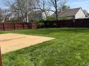 Dejan M.'s Yard Cutting service result