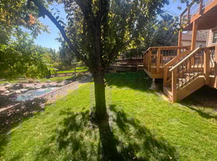 Richard W.'s Lawn Mowing service result