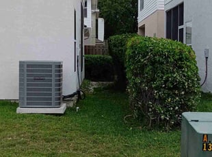 Bush Trimming by Bradly Reil for Erin W. in Ponte Vedra Beach, FL