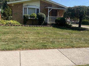 Bush Trimming by Edward Shubert for Fred p. in Dearborn Heights, MI