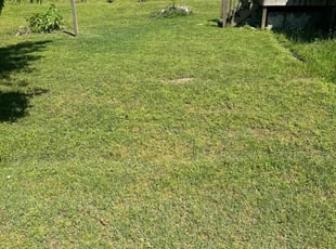 Matt C.'s Yard Cutting service result