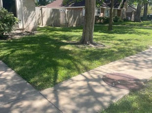 Kelly V.'s Lawn Maintenance service result