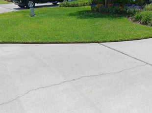 Cathy S.'s Yard Cutting service result