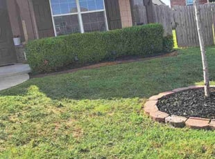 Vanessa M.'s Lawn Service service result