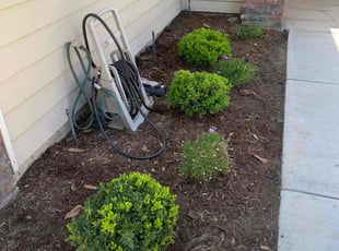 Weeding by Mel Singh for Nicole H. in Riverside, CA