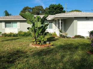 Salvina D.'s Lawn Care service result