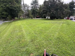 Chandra W.'s Lawn Mowing service result