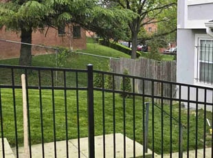 Darlene D.'s Lawn Service service result