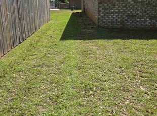 Leiah D.'s Lawn Service service result