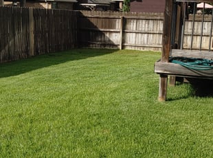 Angie T.'s Yard Cutting service result