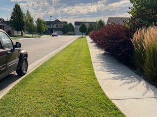 Evelyn K.'s Grass Cutting service result