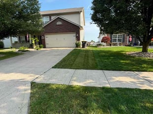 Isaac L.'s Lawn Mowing service result