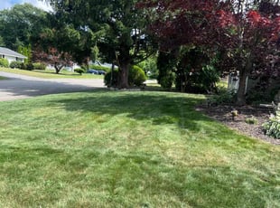 Evanna K.'s Lawn Care service result