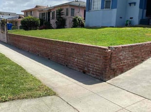 Novella F.'s Yard Cutting service result
