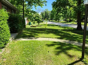 Michelle A.'s Lawn Service service result