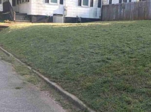 Beth P.'s Lawn Care service result
