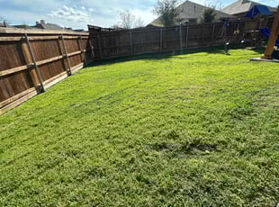 Marlo H.'s Lawn Care service result