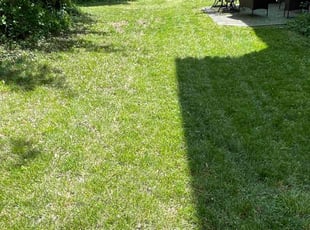 Jaime R.'s Lawn Mowing service result