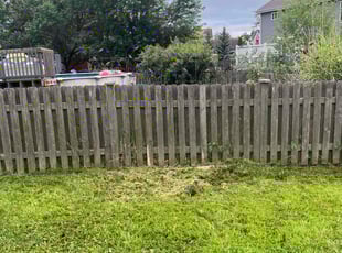Weeding by Felix Alejos for Muhammad S. in Plainfield, IL