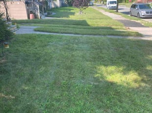 james t.'s Lawn Mowing Service service result