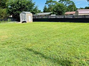 Alyssa S.'s Lawn Service service result