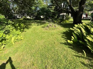 Angela M.'s Lawn Mowing Service service result