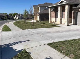 Fenetra D.'s Lawn Mowing service result