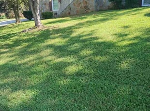 Cynthia W.'s Lawn Mowing service result