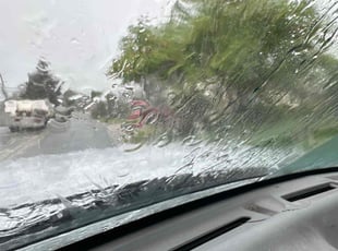 Leaf Removal by Larz Pugh-hall for Cristal C. in Sarasota, FL