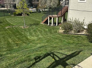 Leslie B.'s Lawn Care service result