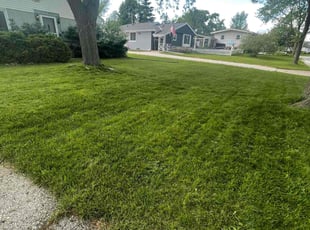 Wendy W.'s Lawn Service service result