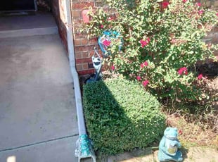 Bush Trimming by Sam Tyler for Cynthia S. in Yukon, OK