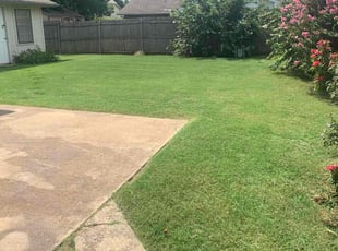Brandy M.'s Lawn Service service result