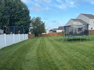 Curtis M.'s Lawn Care service result