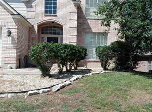 Bush Trimming by Jason Westgor for Miho R. in San Antonio, TX