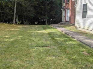 Stacee M.'s Lawn Service service result