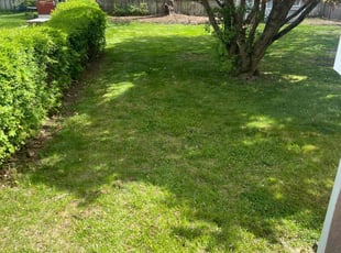 Annie M.'s Lawn Care service result