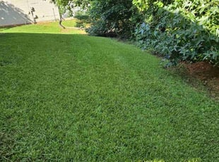 Marietta S.'s Lawn Care service result