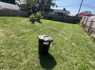 Kimberly B.'s Lawn Care service result