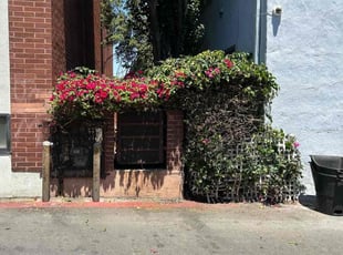 Bush Trimming by Jacob Gallegos for Julian O. in Beverly Hills, CA