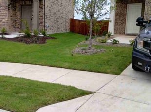 Ezekiel E.'s Yard Cutting service result