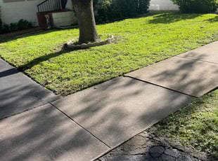 Steve B.'s Lawn Care service result