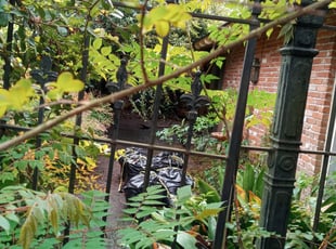 Cleanups by Gregory Lewis for Chris A. in Baton Rouge, LA