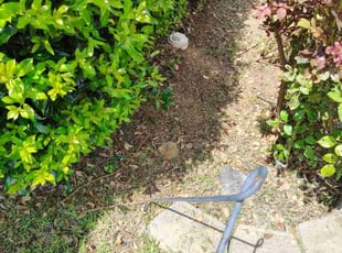 Weeding by Patrick Jackson for Andrew S. in Kannapolis, NC